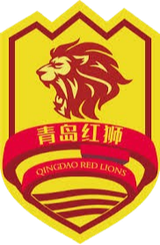 Linyi Yihu U20